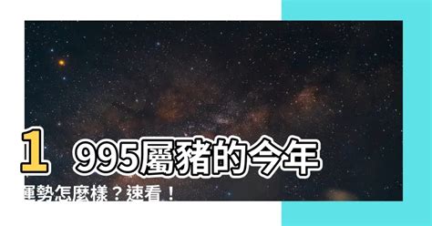 1995年屬|生肖豬: 性格，愛情，生肖1995，2007，2019